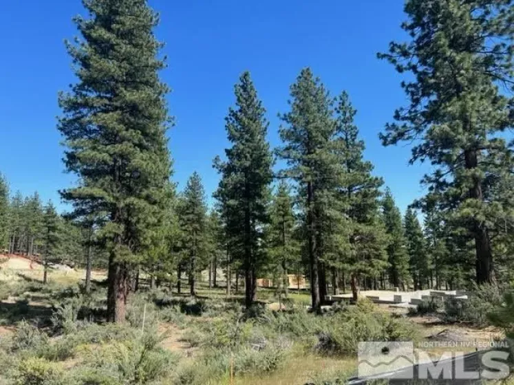 3582 Knob Point, Carson City, Nevada 89705, ,Land,Residential,Knob Point,230007439