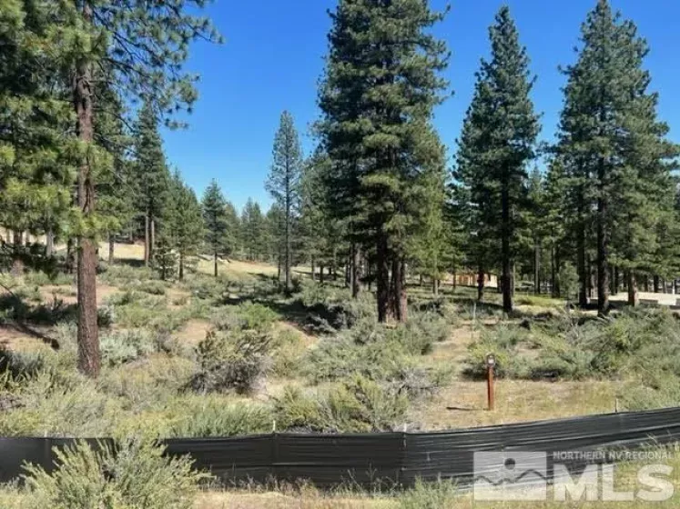 3582 Knob Point, Carson City, Nevada 89705, ,Land,Residential,Knob Point,230007439