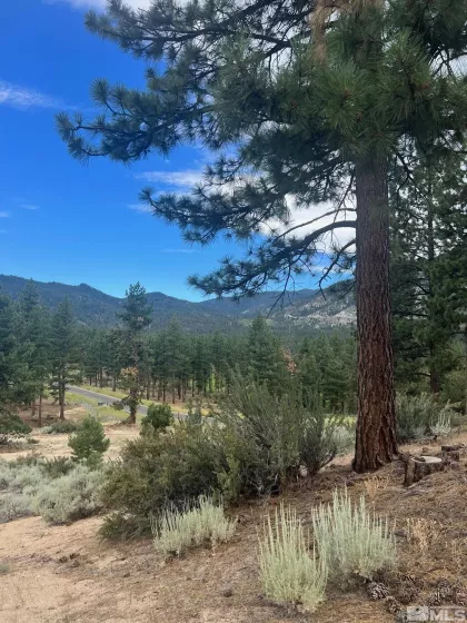 569 Headwaters, Carson City, Nevada 89705, ,Land,Residential,Headwaters,230008725