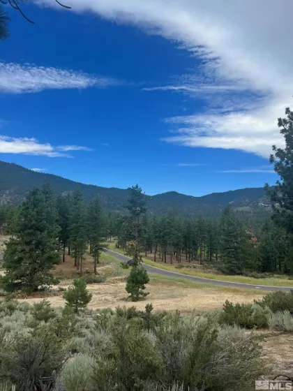 569 Headwaters, Carson City, Nevada 89705, ,Land,Residential,Headwaters,230008725
