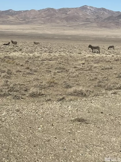T29 Sec 9, Lovelock, Nevada 89419, ,Land,Residential,Sec 9,230007618