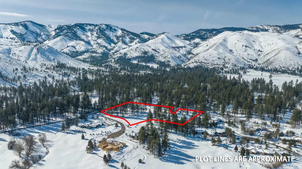 1 Pine Mesa, Washoe Valley, Nevada 89704, ,Land,Residential,Pine Mesa,230000939