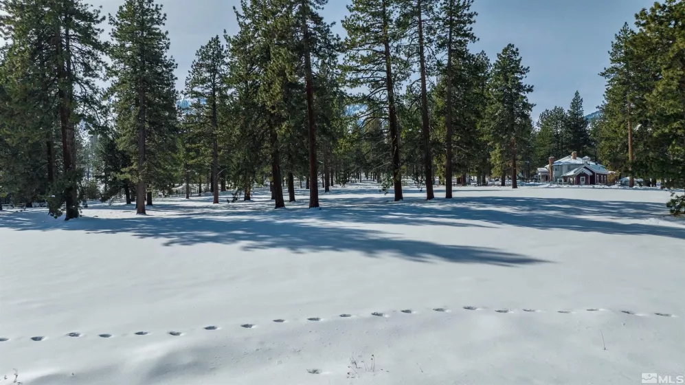 1 Pine Mesa, Washoe Valley, Nevada 89704, ,Land,Residential,Pine Mesa,230000939