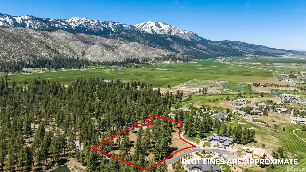 1 Pine Mesa, Washoe Valley, Nevada 89704, ,Land,Residential,Pine Mesa,230000939