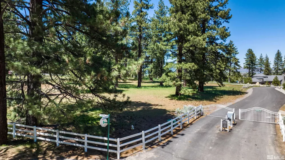 1 Pine Mesa, Washoe Valley, Nevada 89704, ,Land,Residential,Pine Mesa,230000939