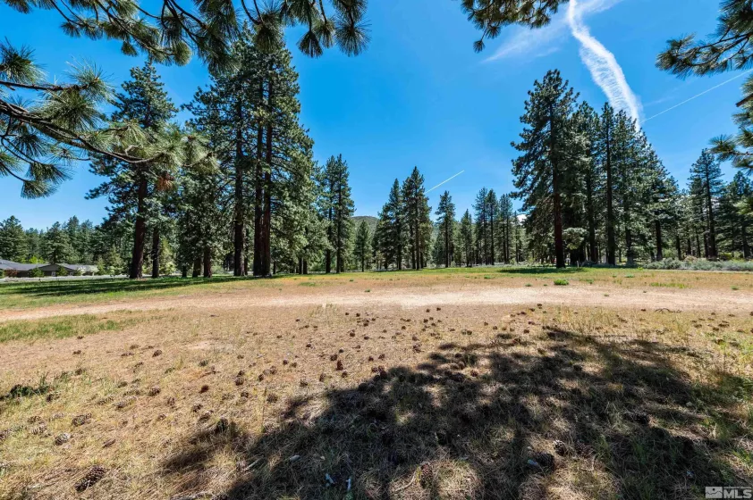 1 Pine Mesa, Washoe Valley, Nevada 89704, ,Land,Residential,Pine Mesa,230000939