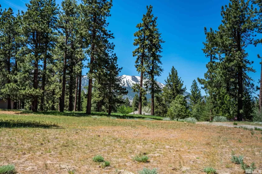 1 Pine Mesa, Washoe Valley, Nevada 89704, ,Land,Residential,Pine Mesa,230000939