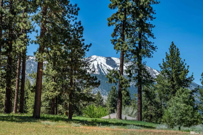 1 Pine Mesa, Washoe Valley, Nevada 89704, ,Land,Residential,Pine Mesa,230000939