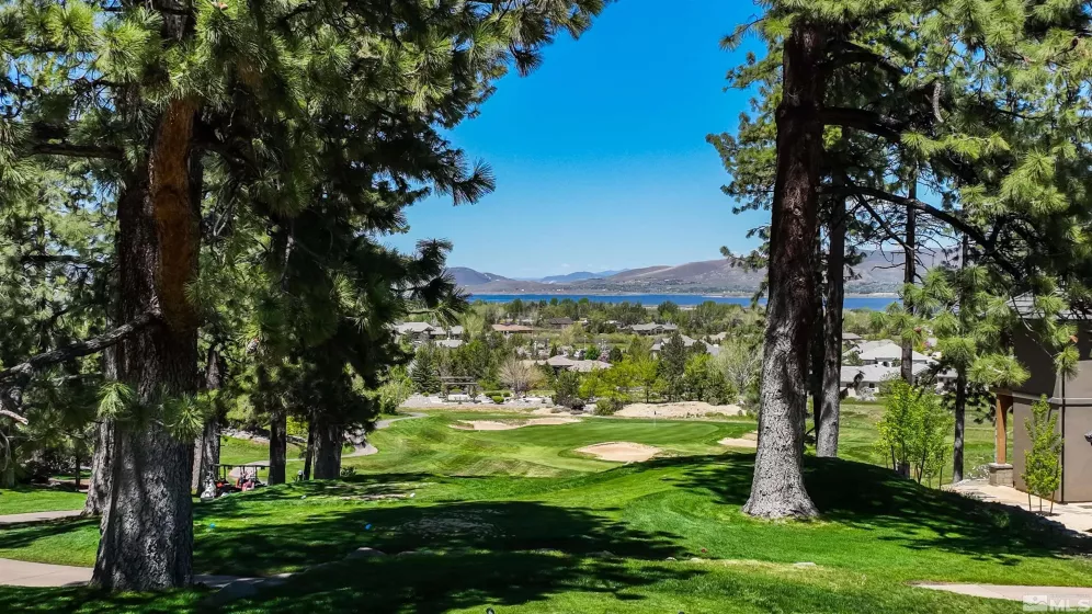 1 Pine Mesa, Washoe Valley, Nevada 89704, ,Land,Residential,Pine Mesa,230000939