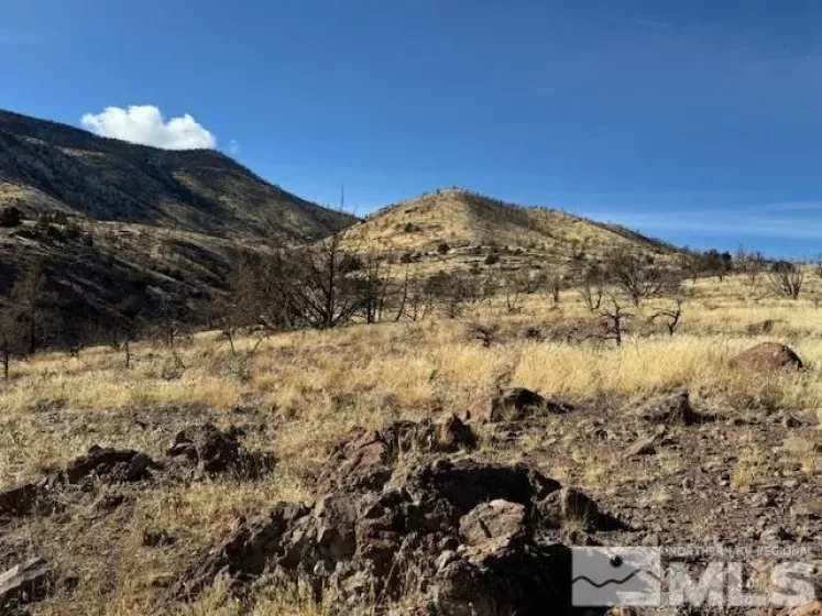 TBD Hwy 395 (6), Gardnerville, Nevada 89410, ,Land,Residential,Hwy 395 (6),230001613