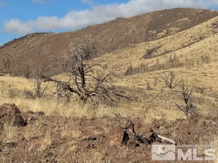 TBD Hwy 395 (6), Gardnerville, Nevada 89410, ,Land,Residential,Hwy 395 (6),230001613