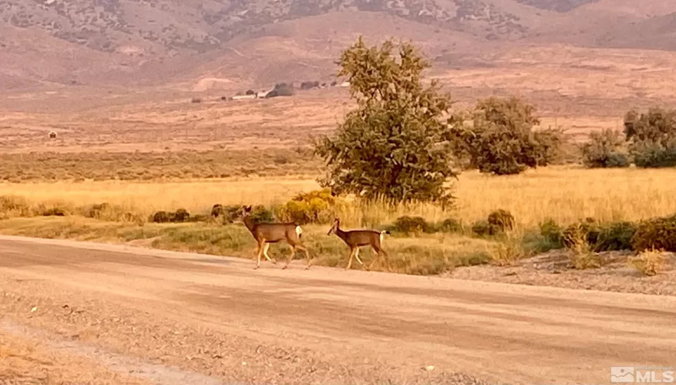 11320 Indian Creek, Lovelock, Nevada 89419, ,Land,Residential,Indian Creek,230002198