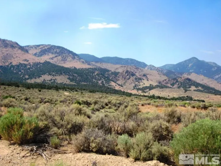0 Main, Cherry Creek, Nevada 89301, ,Land,Residential,Main,230001663