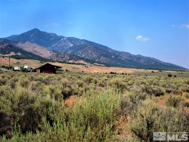 0 Main, Cherry Creek, Nevada 89301, ,Land,Residential,Main,230001663