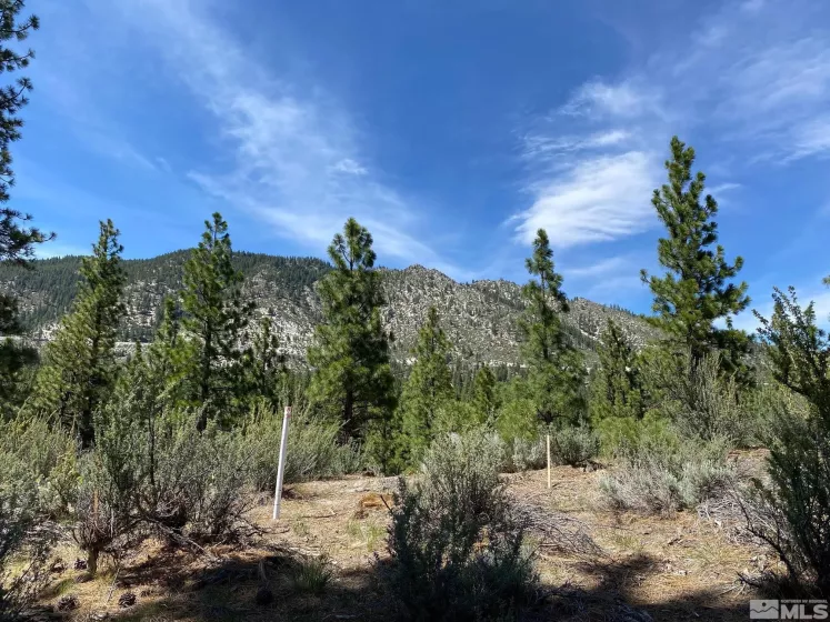 122 Chamberlain, Carson City, Nevada 89705, ,Land,Residential,Chamberlain,220012895
