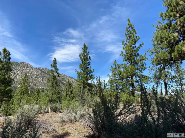 122 Chamberlain, Carson City, Nevada 89705, ,Land,Residential,Chamberlain,220012895