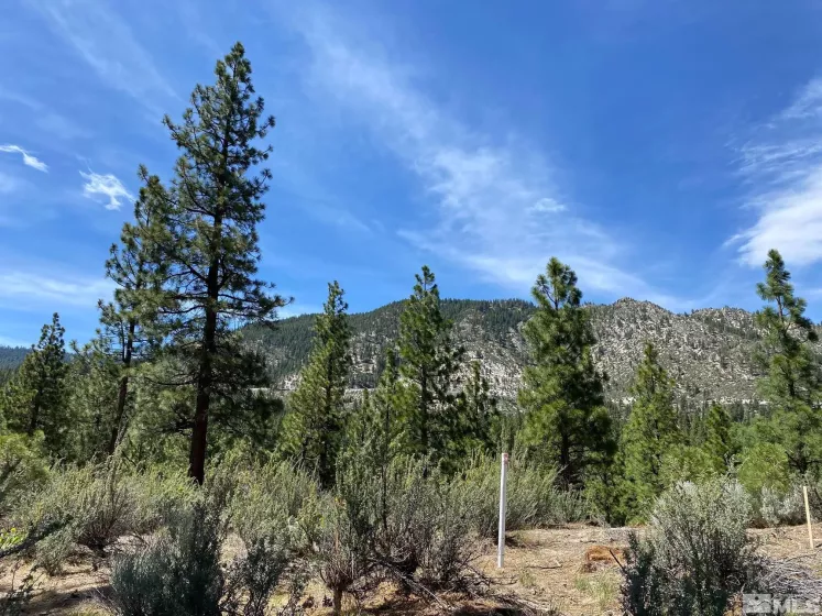 122 Chamberlain, Carson City, Nevada 89705, ,Land,Residential,Chamberlain,220012895