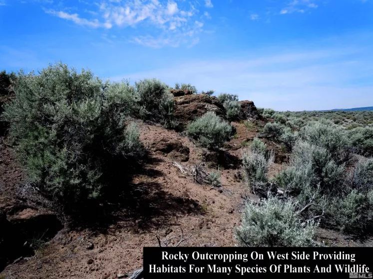 0 unspecified, Gerlach, Nevada 89412, ,Land,Residential,unspecified,230002468