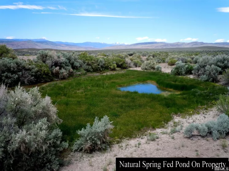 0 unspecified, Gerlach, Nevada 89412, ,Land,Residential,unspecified,230002468