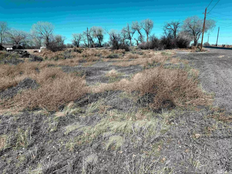 2020 Blues, Fallon, Nevada 89406, ,Land,Residential,Blues,250002392