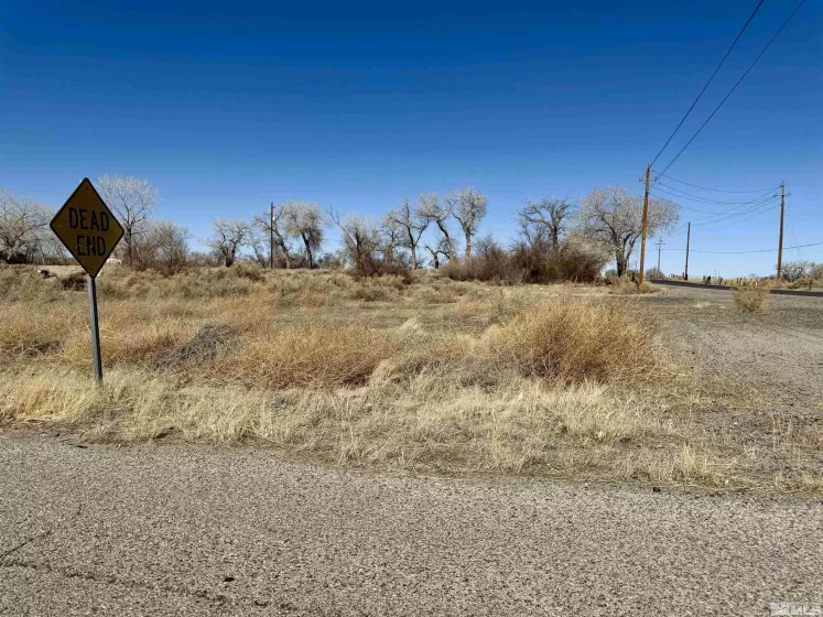 2020 Blues, Fallon, Nevada 89406, ,Land,Residential,Blues,250002392