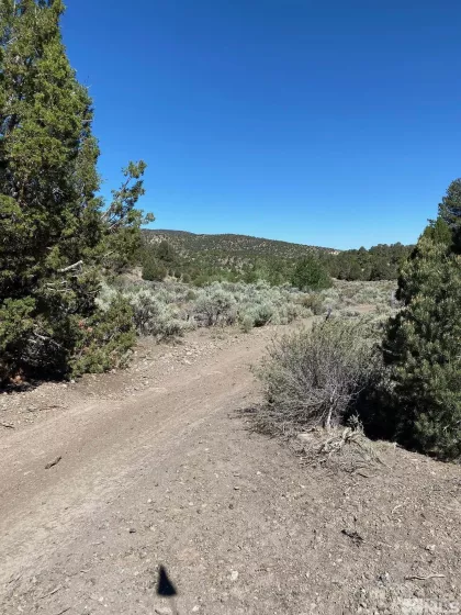 tbd El Dorado, Carson City, Nevada 89701, ,Land,Residential,El Dorado,220006356
