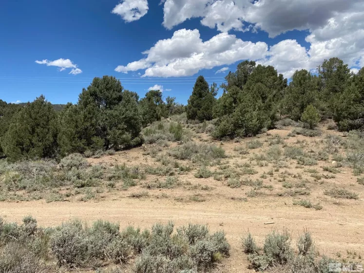 tbd El Dorado, Carson City, Nevada 89701, ,Land,Residential,El Dorado,220006356