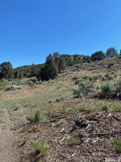 tbd El Dorado, Carson City, Nevada 89701, ,Land,Residential,El Dorado,220006356