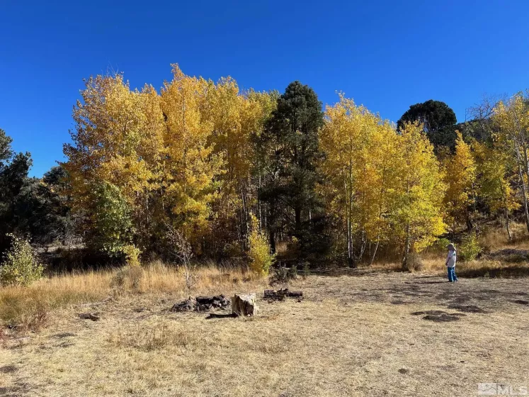 tbd El Dorado, Carson City, Nevada 89701, ,Land,Residential,El Dorado,220006356
