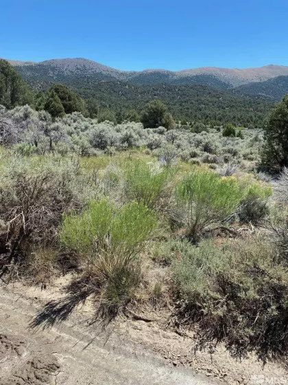 tbd El Dorado, Carson City, Nevada 89701, ,Land,Residential,El Dorado,220006356