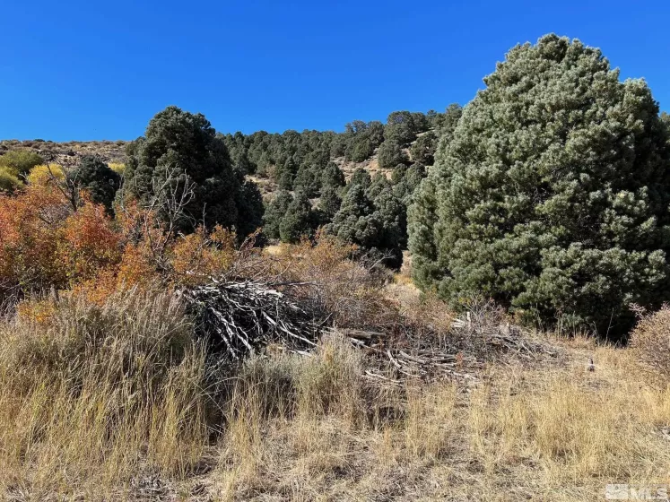 tbd El Dorado, Carson City, Nevada 89701, ,Land,Residential,El Dorado,220006356
