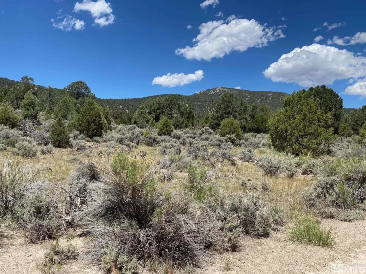 tbd El Dorado, Carson City, Nevada 89701, ,Land,Residential,El Dorado,220006356