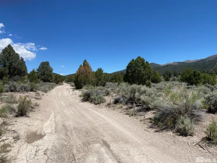 tbd El Dorado, Carson City, Nevada 89701, ,Land,Residential,El Dorado,220006356
