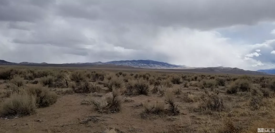 330 Eagle, Smith, Nevada 89430, ,Land,Residential,Eagle,220001163