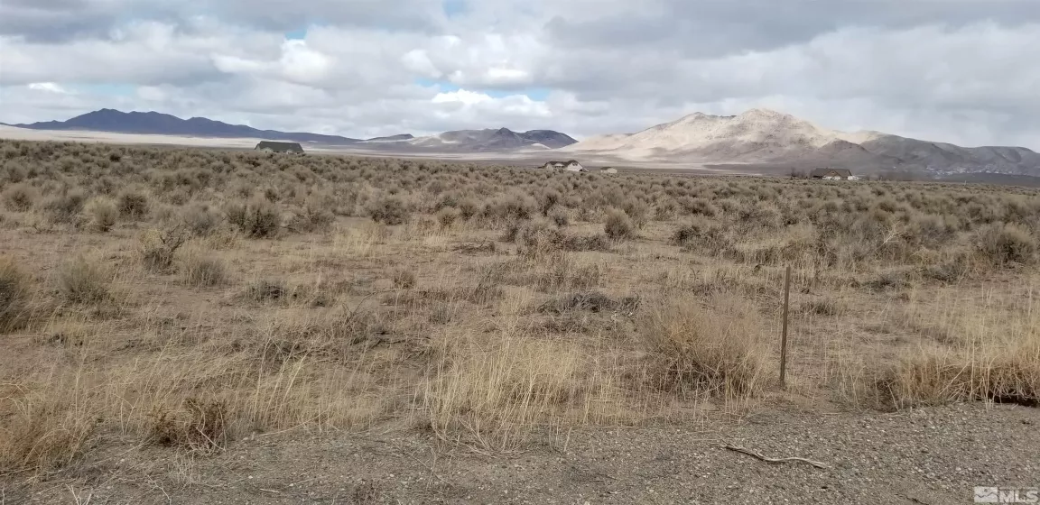 330 Eagle, Smith, Nevada 89430, ,Land,Residential,Eagle,220001163