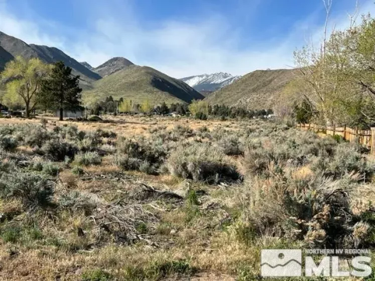 Lot R3 Highway 395, Coleville, California 96107, ,Land,Residential,Highway 395,250002123
