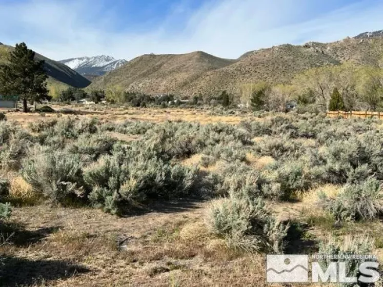 Lot R3 Highway 395, Coleville, California 96107, ,Land,Residential,Highway 395,250002123