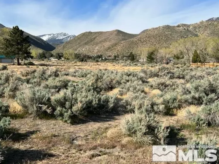 Lot R3 Highway 395, Coleville, California 96107, ,Land,Residential,Highway 395,250002123