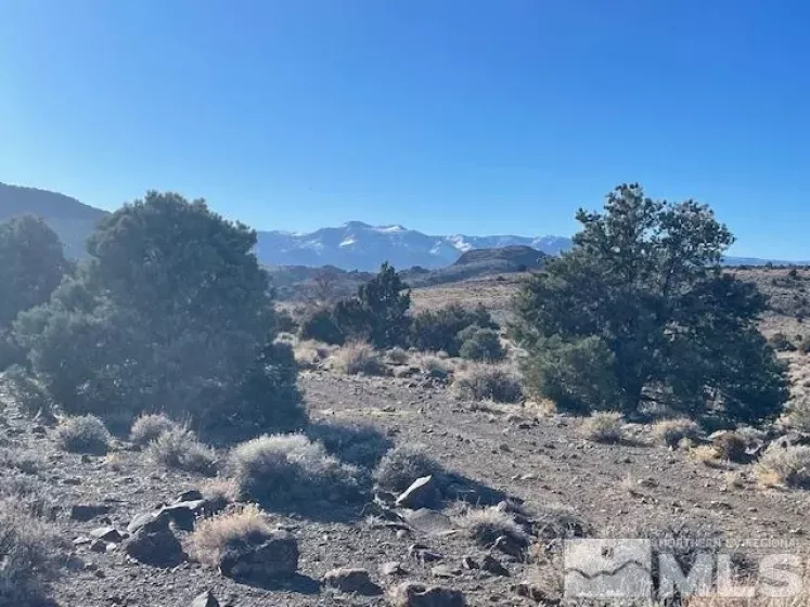 40S NW4NW4-S16/18N/21E, Virginia City, Nevada 89521, ,Land,Residential,NW4NW4-S16/18N/21E,250001634