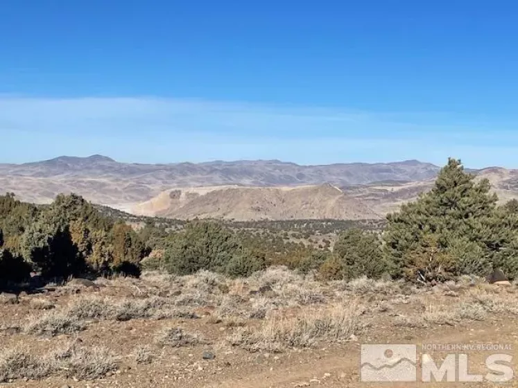 40S NW4NW4-S16/18N/21E, Virginia City, Nevada 89521, ,Land,Residential,NW4NW4-S16/18N/21E,250001634