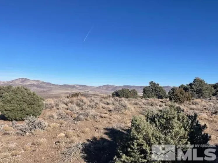40S NW4NW4-S16/18N/21E, Virginia City, Nevada 89521, ,Land,Residential,NW4NW4-S16/18N/21E,250001634