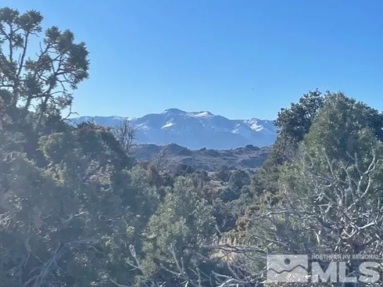 40S NW4NW4-S16/18N/21E, Virginia City, Nevada 89521, ,Land,Residential,NW4NW4-S16/18N/21E,250001634