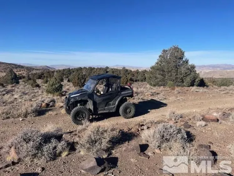 40S NW4NW4-S16/18N/21E, Virginia City, Nevada 89521, ,Land,Residential,NW4NW4-S16/18N/21E,250001634