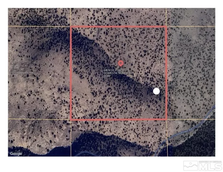 40S NW4SW4-S16/18N/21E, Virginia City, Nevada 89521, ,Land,Residential,NW4SW4-S16/18N/21E,250001637