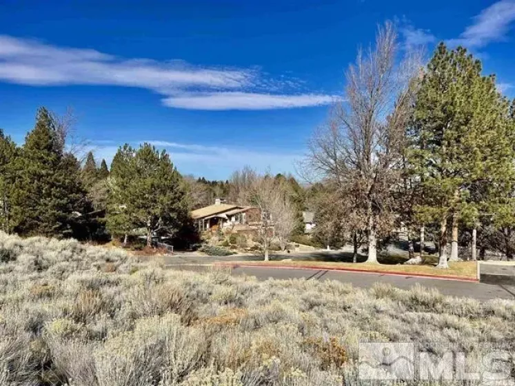2790 Lakeridge, Reno, Nevada 89519, ,Land,Residential,Lakeridge,250001633