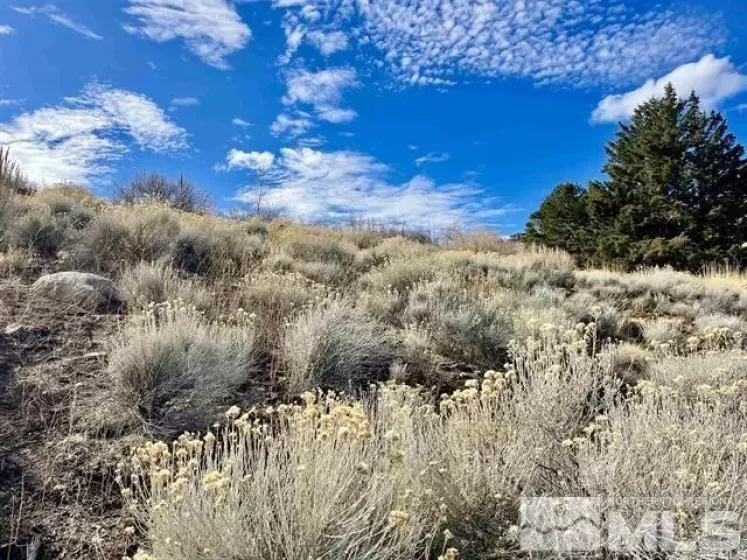 2790 Lakeridge, Reno, Nevada 89519, ,Land,Residential,Lakeridge,250001633