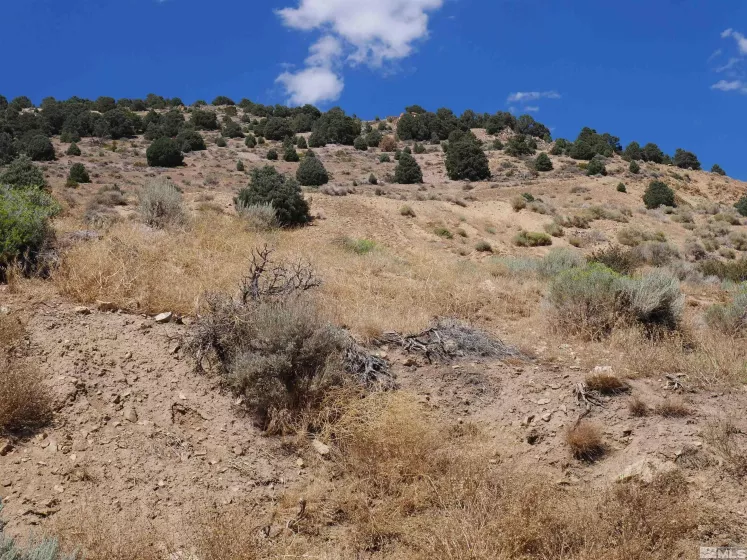 0 C St/Hwy 341, Virginia City, Nevada 89440, ,Land,Residential,C St/Hwy 341,250001546
