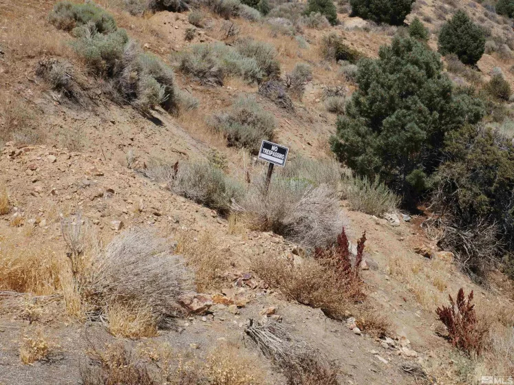 0 C St/Hwy 341, Virginia City, Nevada 89440, ,Land,Residential,C St/Hwy 341,250001546