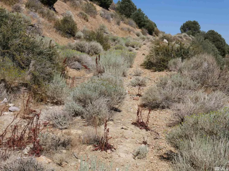 0 C St/Hwy 341, Virginia City, Nevada 89440, ,Land,Residential,C St/Hwy 341,250001546