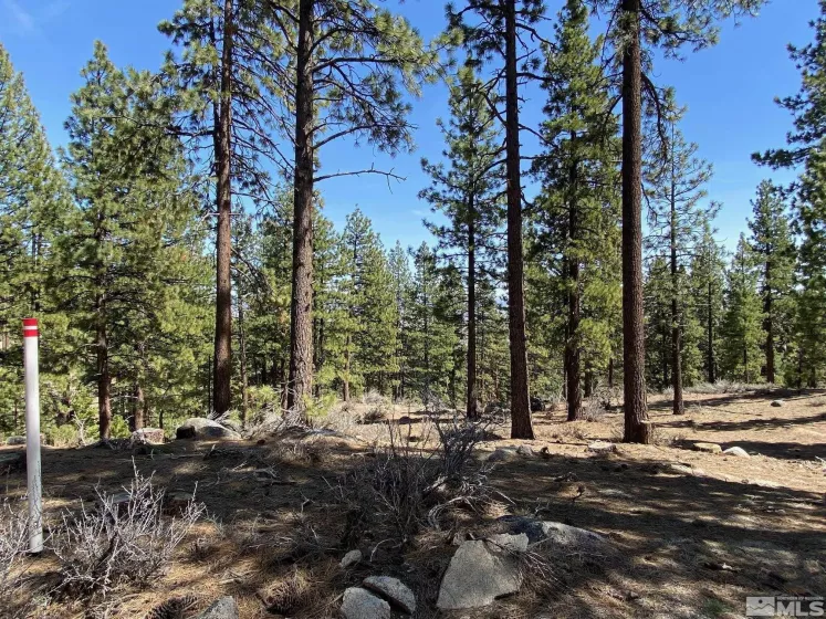3503 Golf Club, Carson City, Nevada 89705, ,Land,Residential,Golf Club,250001235